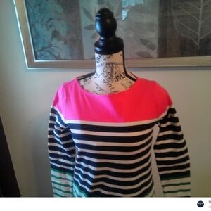 Authentic Talbots Long Sleeve Top - Pink and Black Stripes